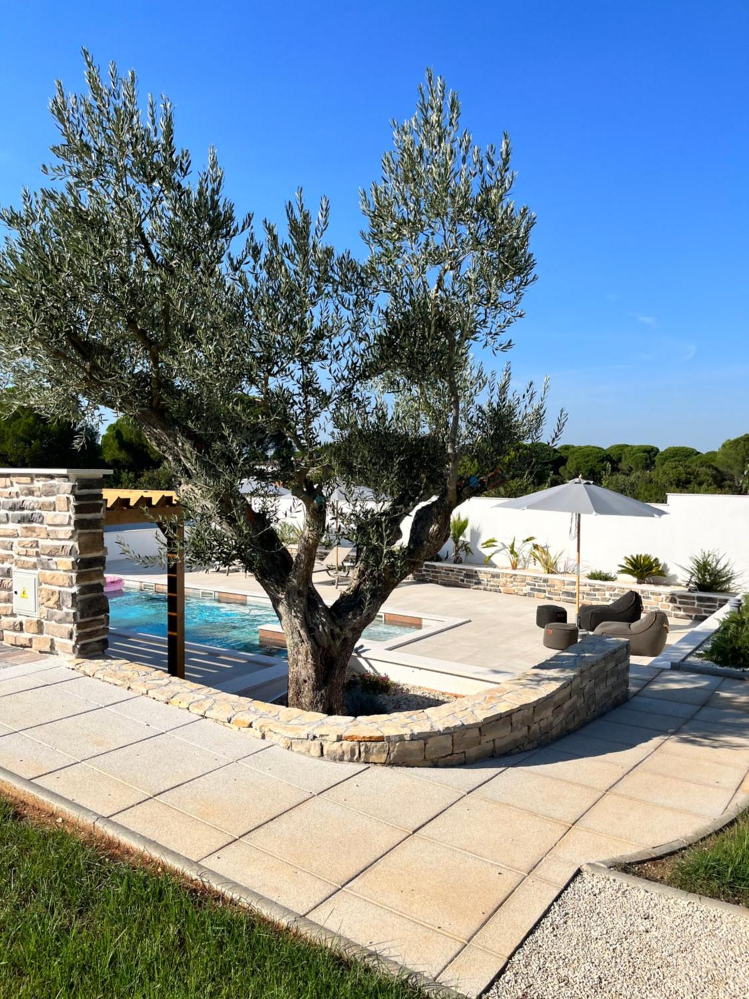 Olivea Luxury Suites Fažana Exteriér fotografie